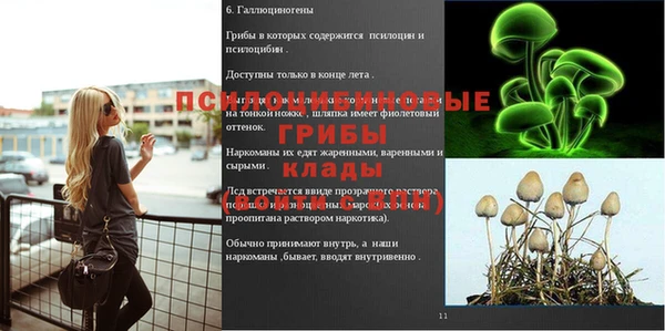 мяу мяу мука Новокубанск