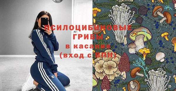 спайс Карталы