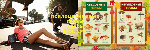 ALPHA-PVP Новозыбков