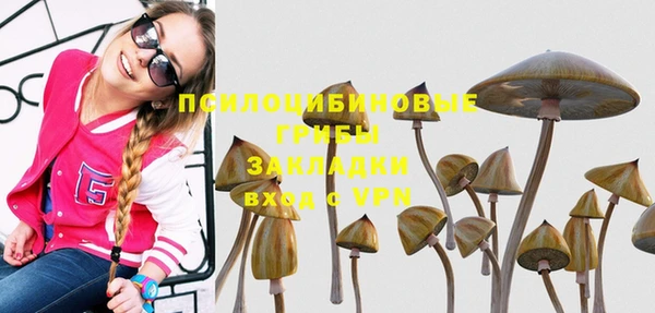скорость mdpv Новодвинск
