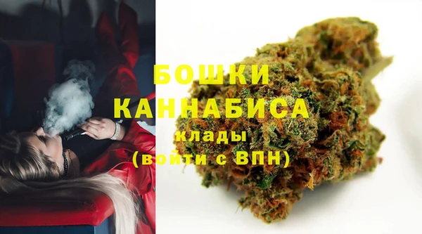 стаф Кинешма