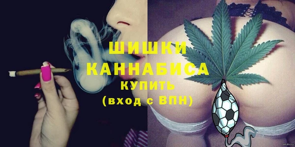 ALPHA-PVP Новозыбков