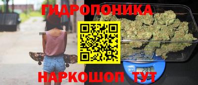 spice Балашиха