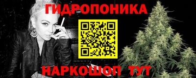 ешки Гатчина