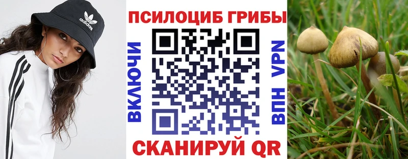 мега ссылка где продают наркотики Саки Псилоцибиновые грибы Magic Shrooms