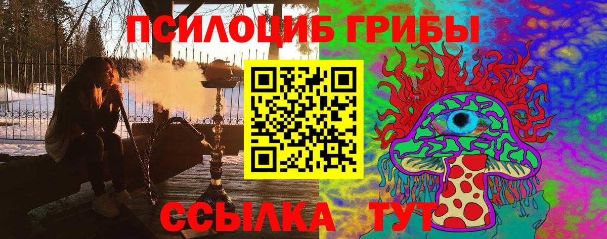 Псилоцибиновые грибы прущие грибы  Галлюциногенные грибы MAGIC MUSHROOMS  Саки 