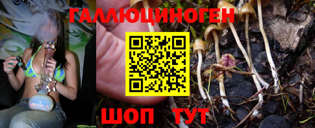 Псилоцибиновые грибы MAGIC MUSHROOMS Саки